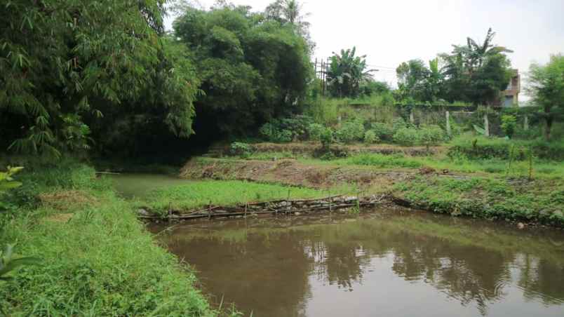 dijual tanah kp cihideung hilir 1 km