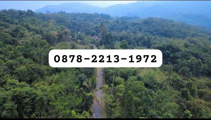 dijual tanah leuwisadeng leuwiliang