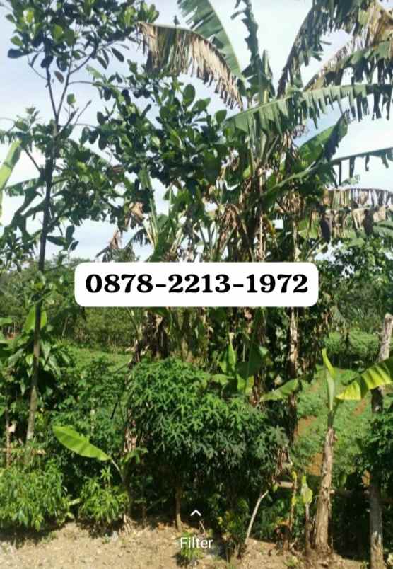 dijual tanah leuwisadeng leuwiliang