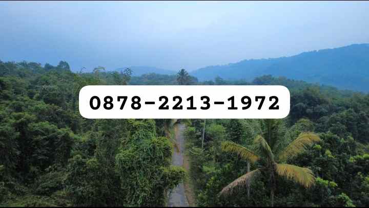 dijual tanah leuwisadeng leuwiliang