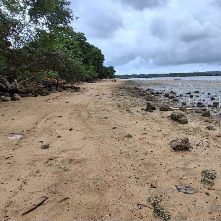 dijual tanah los pantai