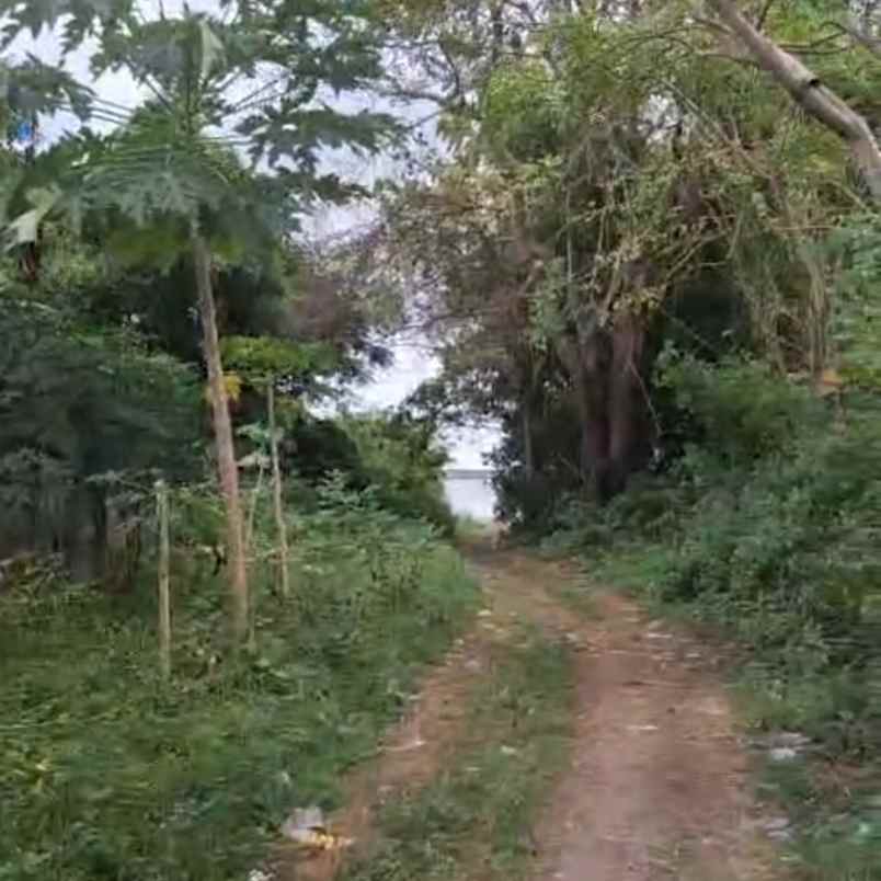 dijual tanah los pantai