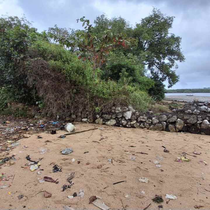 dijual tanah los pantai