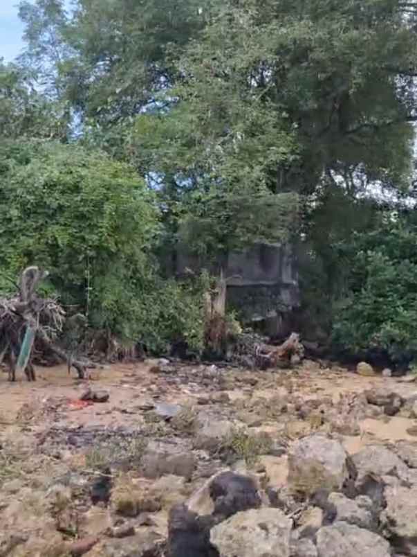 dijual tanah los pantai