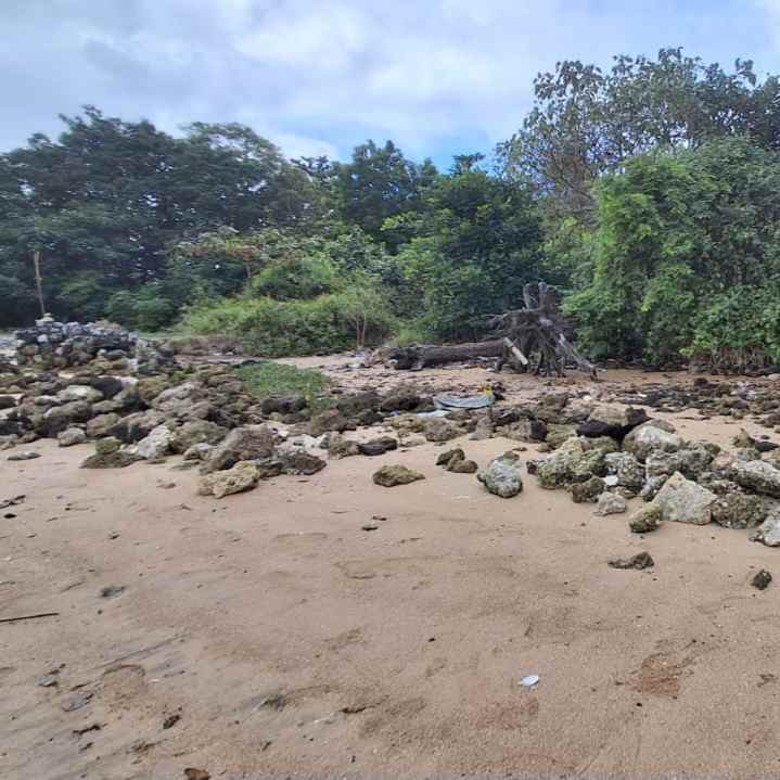 dijual tanah los pantai