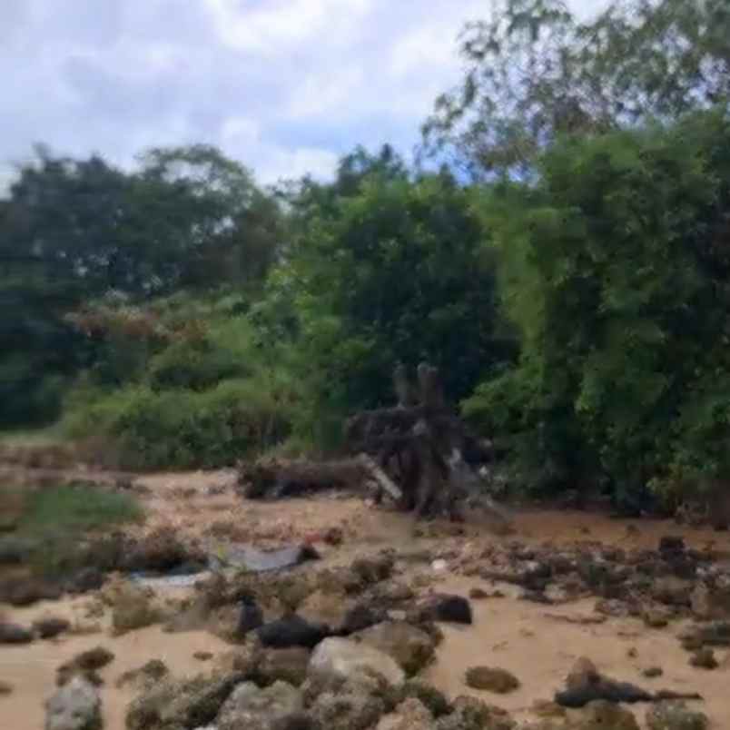 dijual tanah los pantai