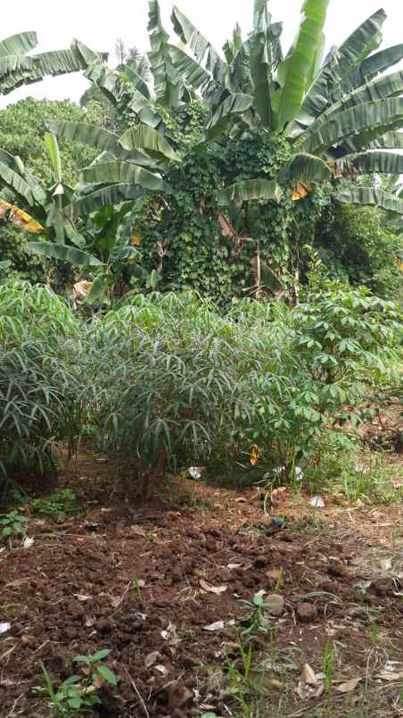 dijual tanah margahayu bekasi timur