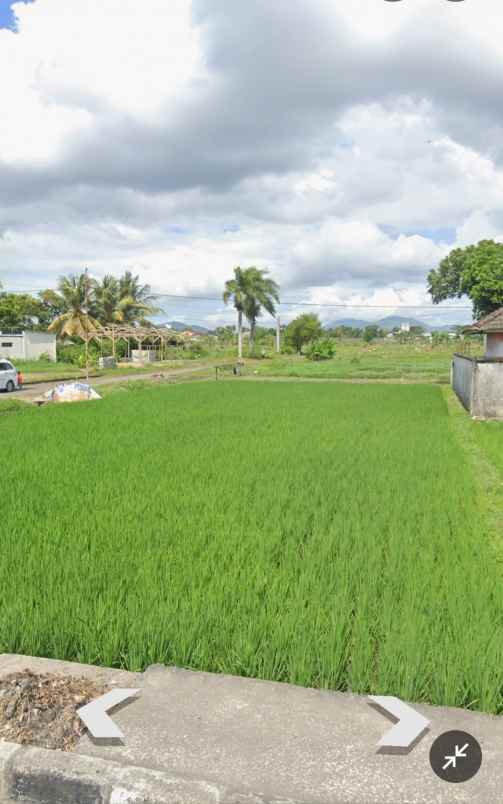 dijual tanah mataram lombok nusa