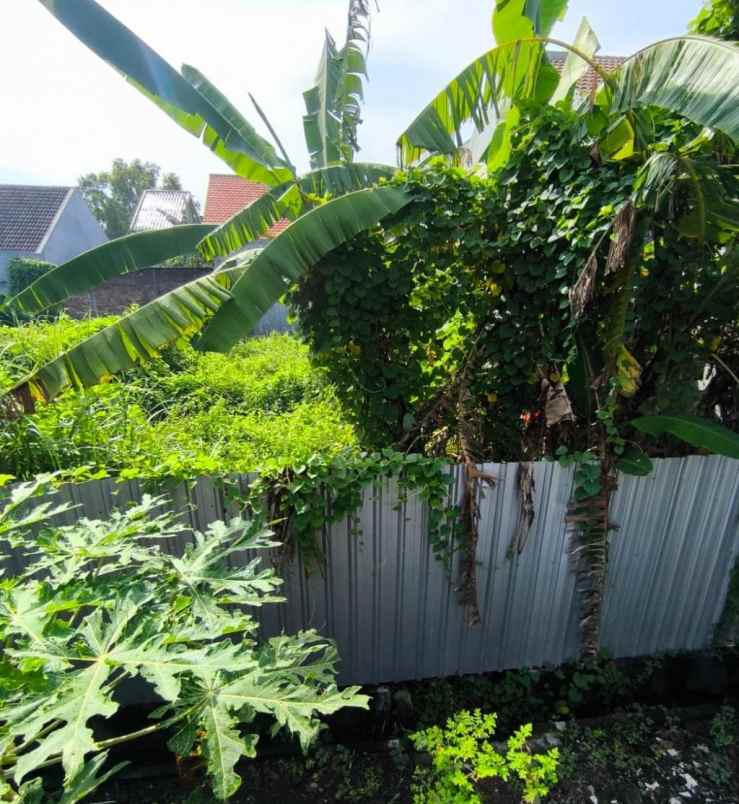 dijual tanah nirwana residence
