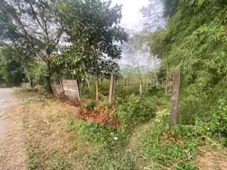 dijual tanah pabuaran sukamakmur puncak dua