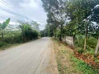 dijual tanah pabuaran sukamakmur puncak dua