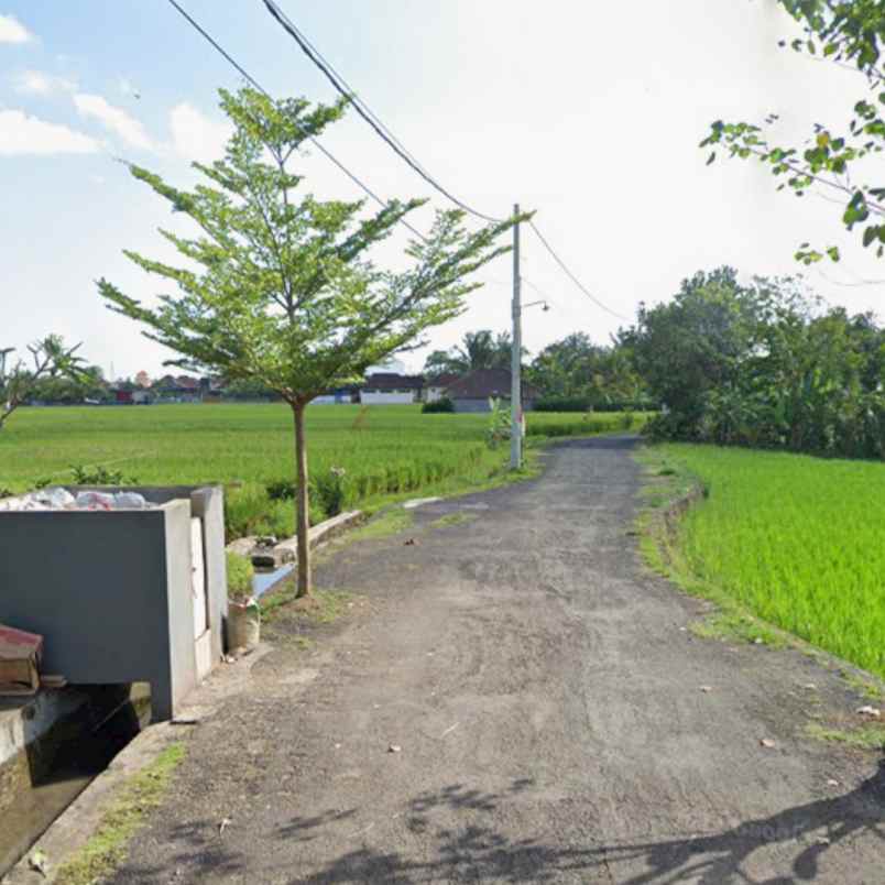 dijual tanah pantai kedungu
