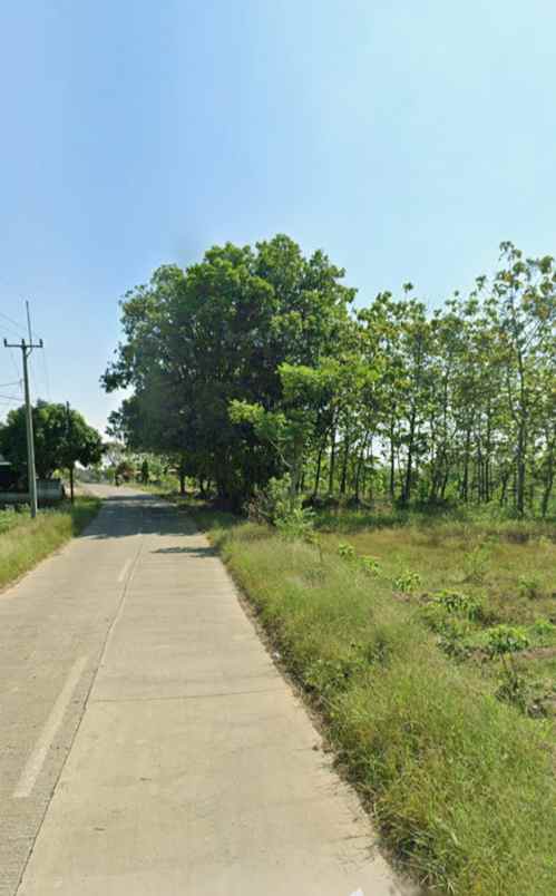 dijual tanah pasir ipis