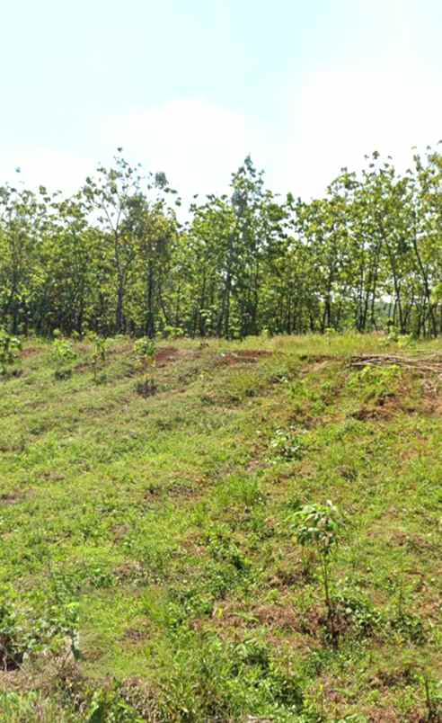 dijual tanah pasir ipis