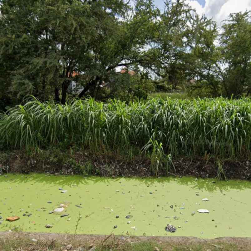 dijual tanah pedungan