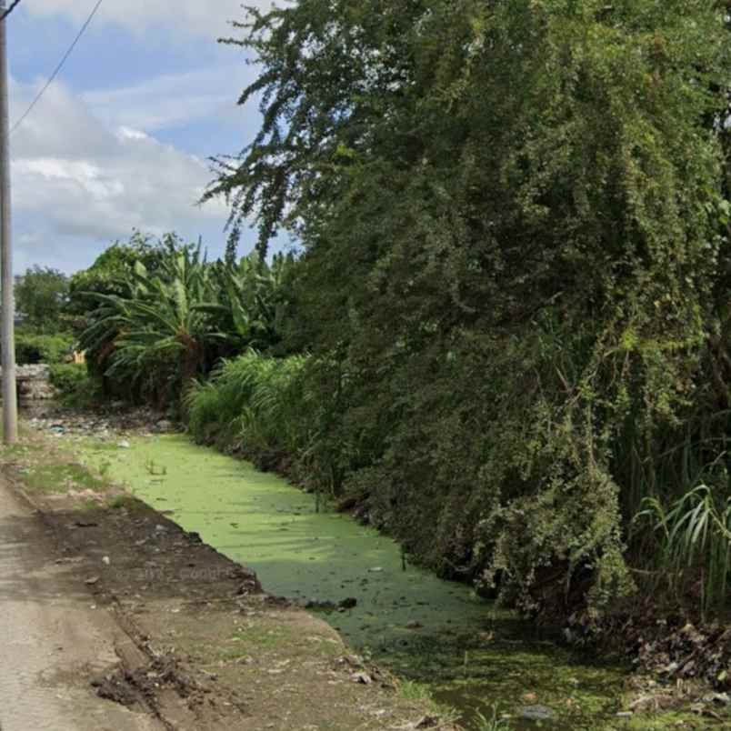 dijual tanah pedungan