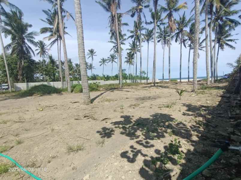 dijual tanah pekutatan jembrana bali