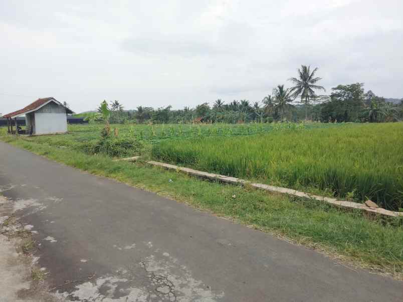 dijual tanah pinggir jl akses mobil di cibuntu cilimus