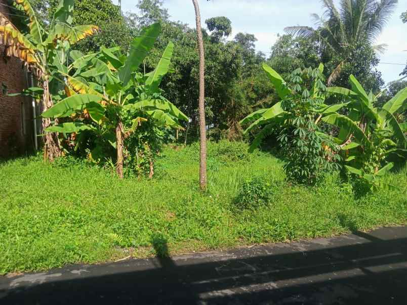 dijual tanah pinggir jl desa lingkungan penduduk