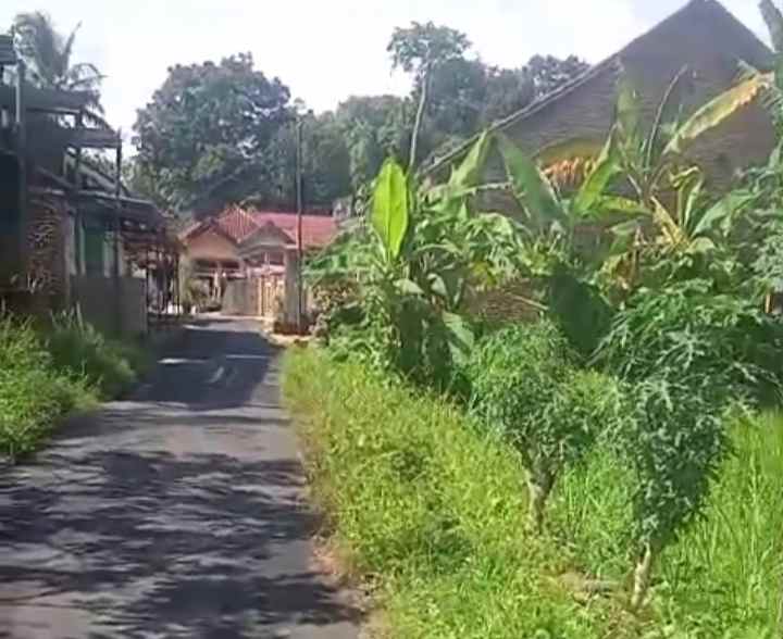 dijual tanah pinggir jl desa lingkungan penduduk
