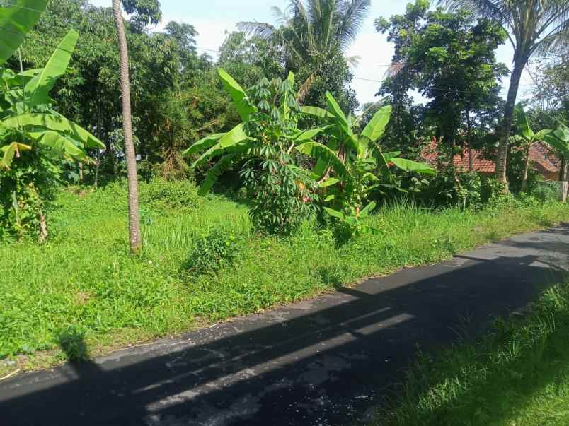 dijual tanah pinggir jl desa lingkungan penduduk