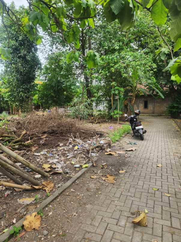 dijual tanah potorono
