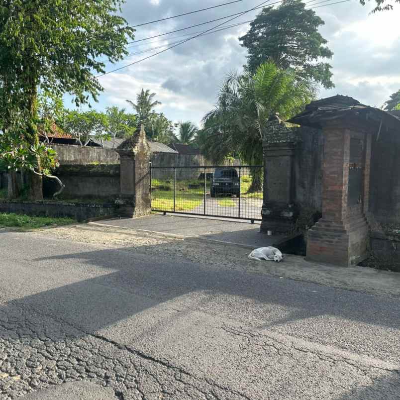 dijual tanah sayan ubud