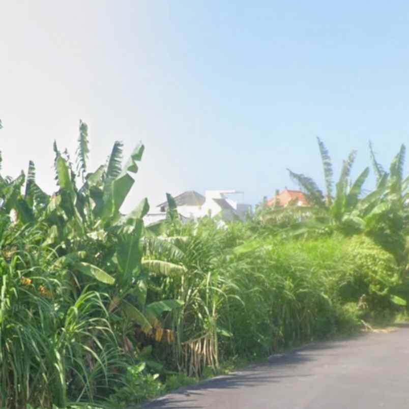 dijual tanah sedap malam