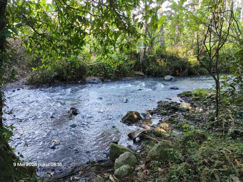 dijual tanah selemadeg tabanan bali