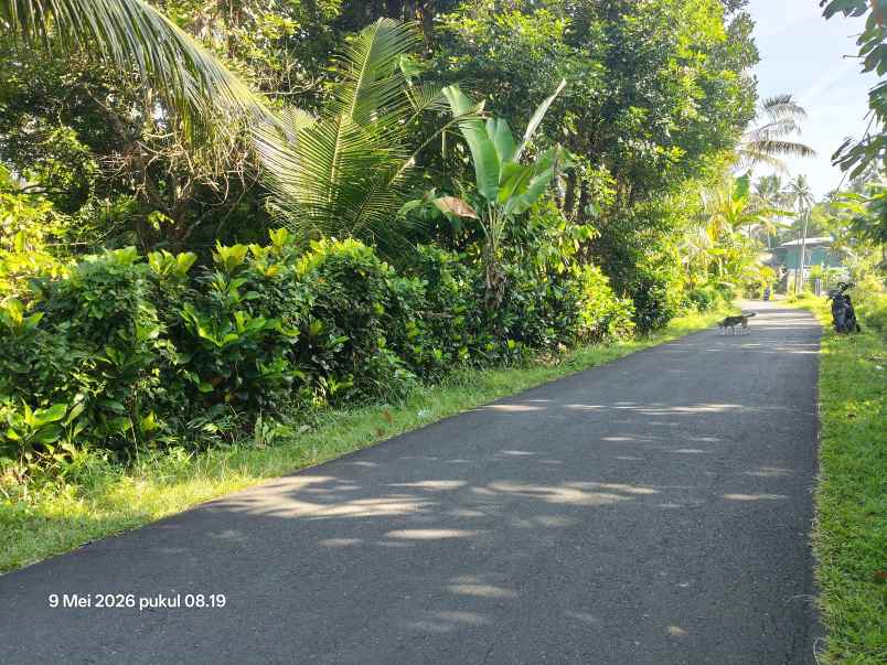 dijual tanah selemadeg tabanan bali