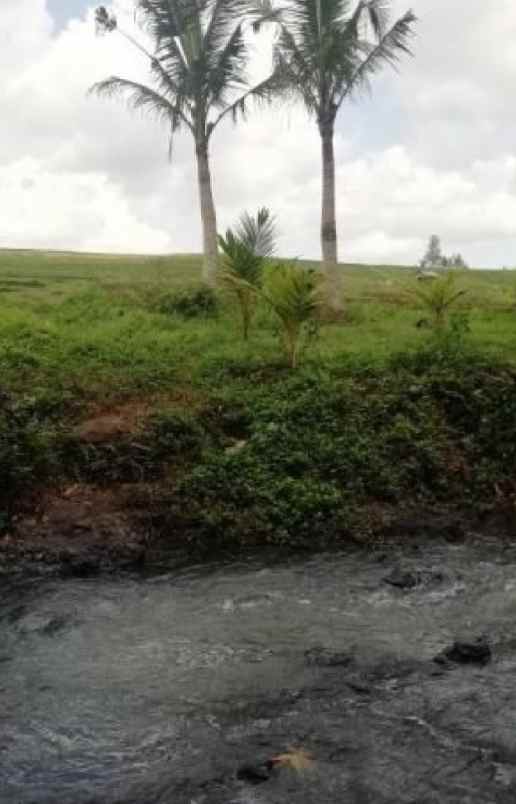 dijual tanah selemadeg tabanan bali