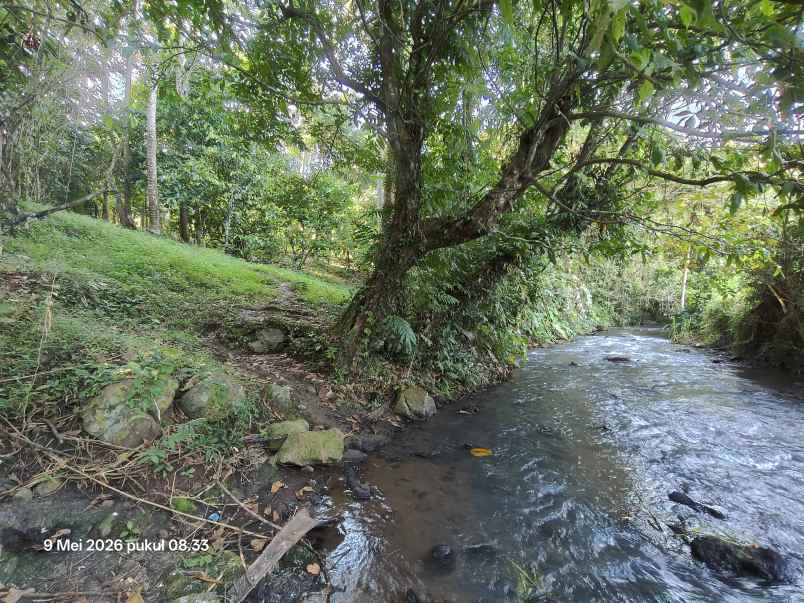 dijual tanah selemadeg tabanan bali