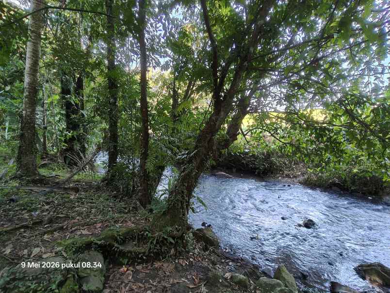 dijual tanah selemadeg tabanan bali