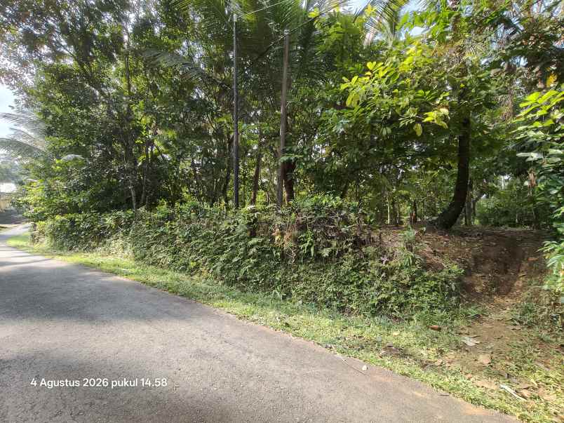 dijual tanah selemadeg tabanan bali