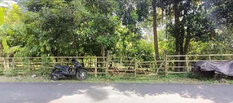 dijual tanah selemadeg tabanan bali