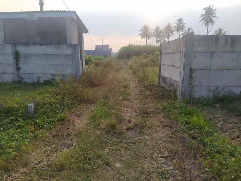 dijual tanah sudimoro