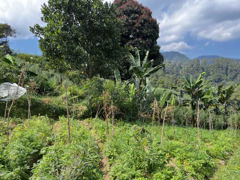dijual tanah tawangmangu karanganyar