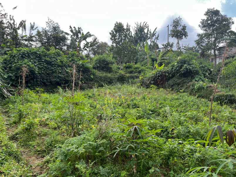 dijual tanah tawangmangu karanganyar