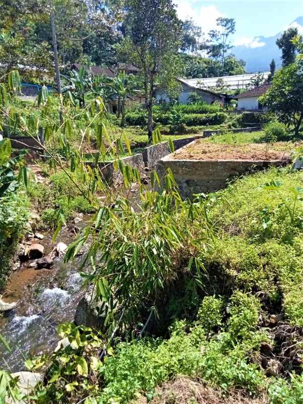 dijual tanah tepi jl kemuning