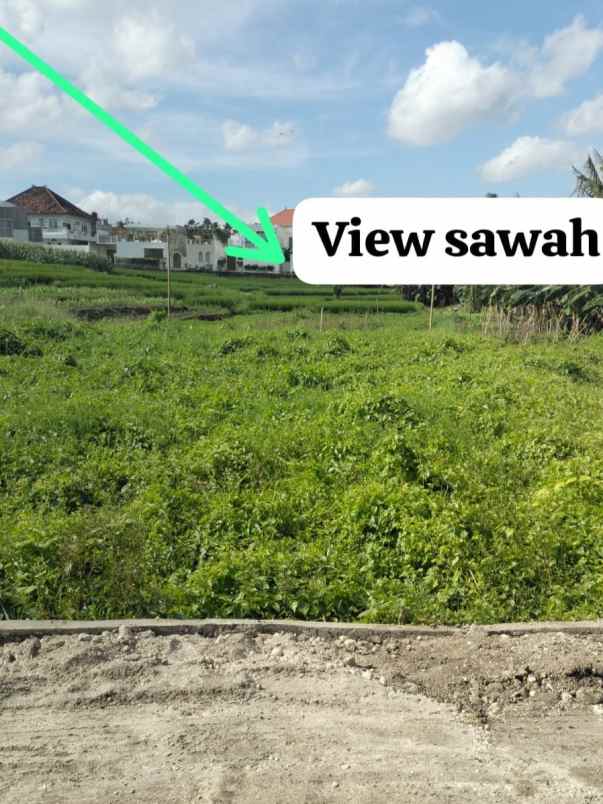 dijual tanah tumbak bayuh