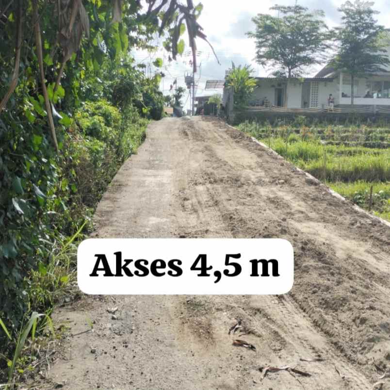 dijual tanah tumbak bayuh