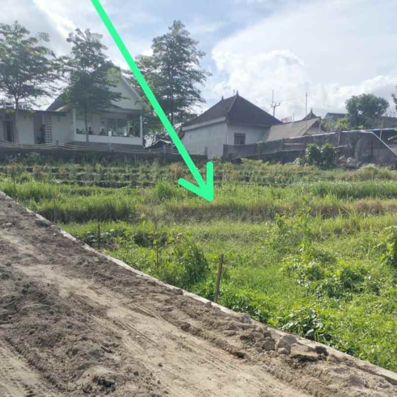 dijual tanah tumbak bayuh