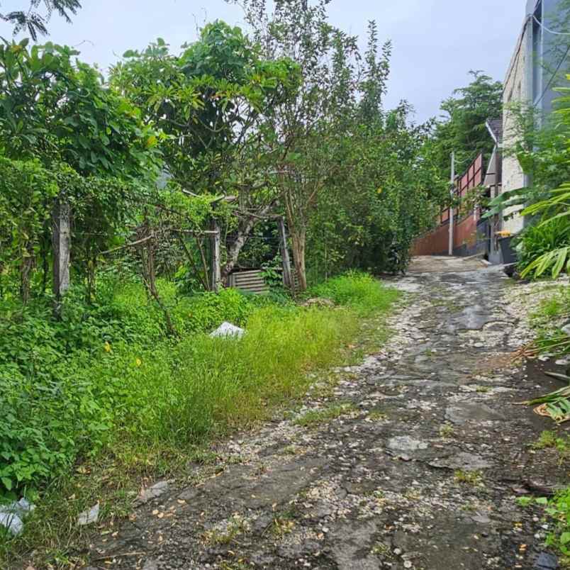 dijual tanah umalas klencung