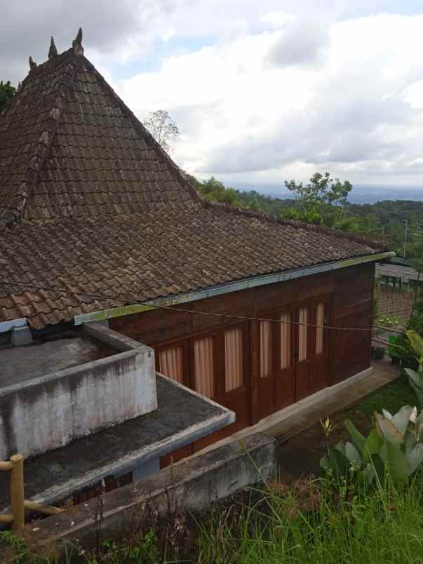 dijual villa jl raya pancasari batunya