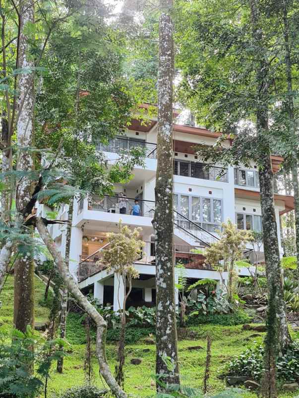 dijual villa puncak