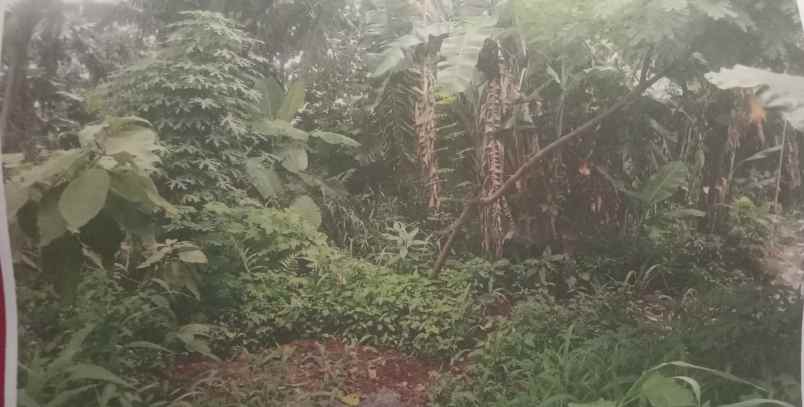 jual cepat tanah di cilodong