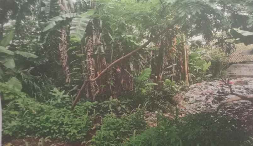 jual cepat tanah di cilodong