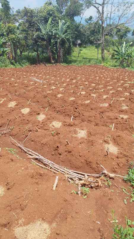 jual cepat tanah istimewa sumedang