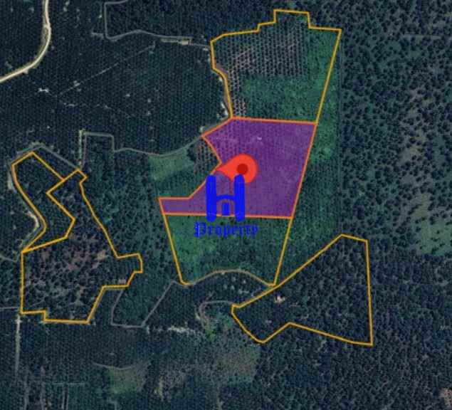 jual kebun sawit daerah gohor lama kec wampu langkat