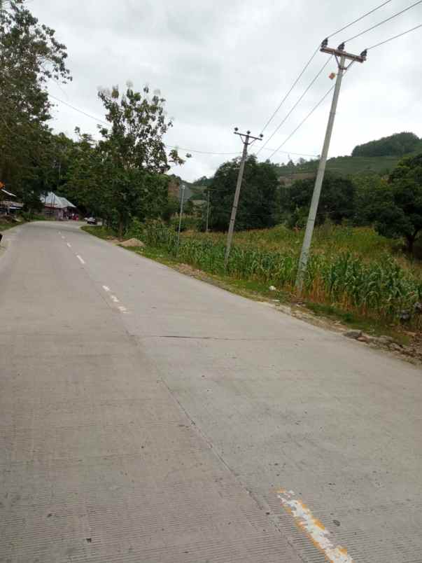 jual tanah kebun di jln raya trans sulawesi